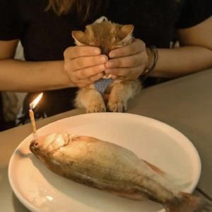 高冷奶酪5b 头像