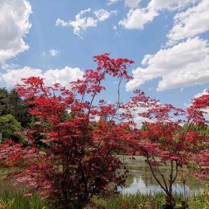 雨夜星辰☔️ 头像