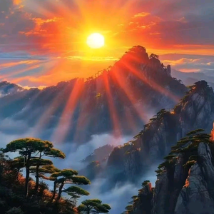 淡泊小鱼爱生活 头像