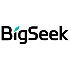 BigSeek 头像