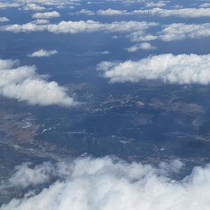 陶子进工厂 头像