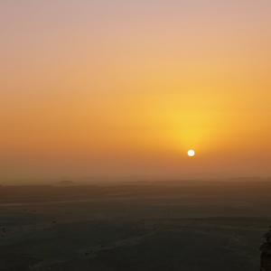 数字瞭望塔 头像