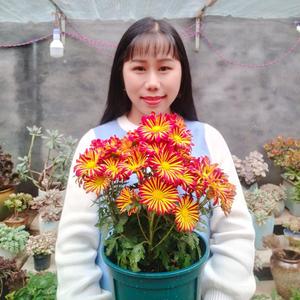 悠然的小花园 头像