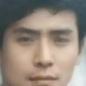 杨哥的