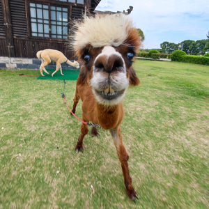 我的名字叫什么来着 头像