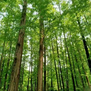 亿万励志达人 头像