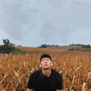 孤独的减脂家 头像