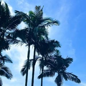 小城故事多 头像