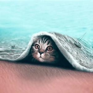 杨老金说养老 头像