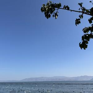 左一的故事 头像