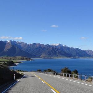 花朝月夕花萼相辉 头像