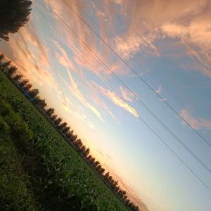 博学才开智 头像