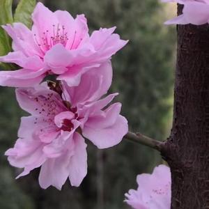 清水洗尘于俗世 头像