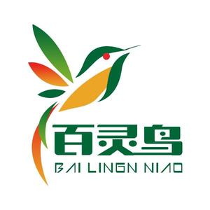 杭州百灵鸟 头像