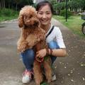 小彩平 头像