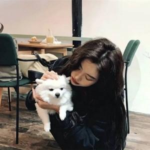 土豆小说推荐 头像