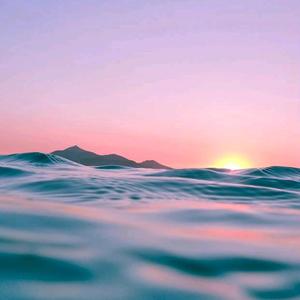 优雅博学多才的七七 头像