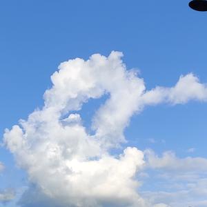 用户2485330325023543 头像