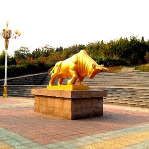 羽扇纶巾2020