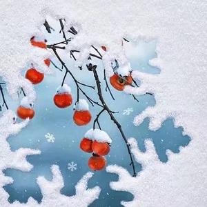 甜甜读书随录 头像