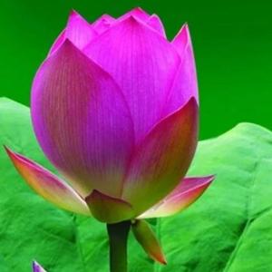 勇者李姐砥砺前行