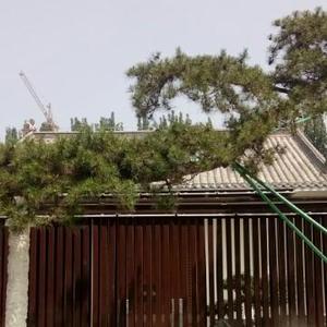 老鸟说早早早 头像