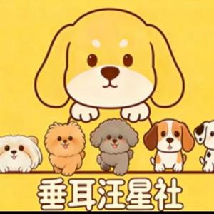 垂耳汪星舍 头像
