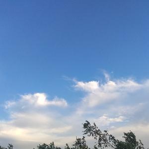 白桦林设计 头像