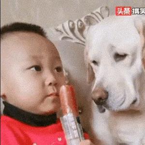 闲来读书人