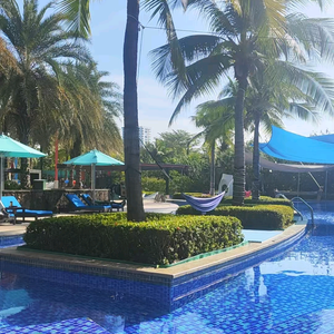 皮皮开心嘛花 头像