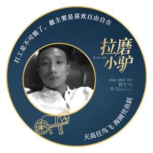 拉磨小驴 头像