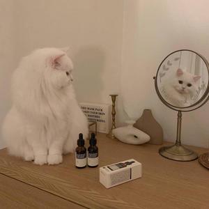 吃饱饱了没 头像