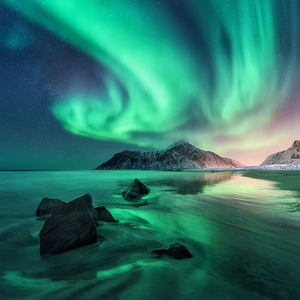 一碗香芝麻糊 头像