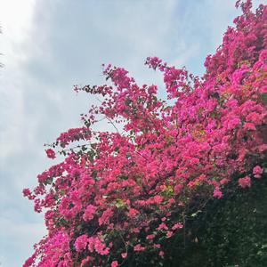 曾经的少年 头像