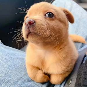 书友杂货铺 头像