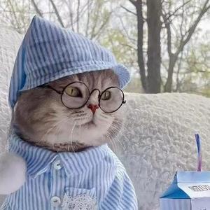 孤独的狼op 头像