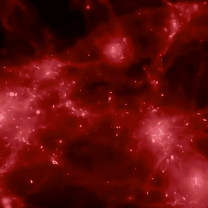 量子启示录 头像