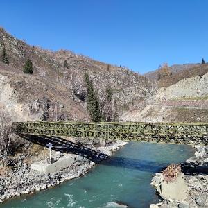 双洎河边一株中草药 头像