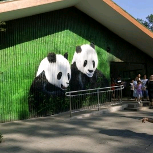 飞哥民间故事 头像