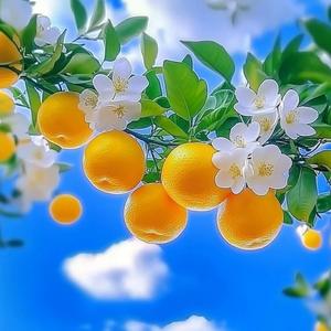 快乐小猫爱吃鱼yyds 头像