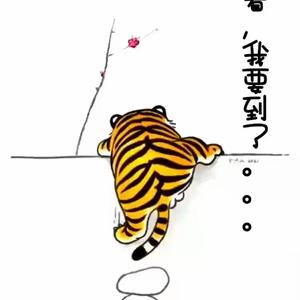 春风十里BU如你 头像