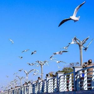 山东金路投研 头像