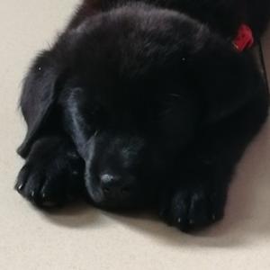 浮生日月闲 头像