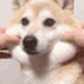 家住三十三重天外