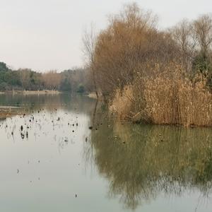 随笔杂谈小q 头像