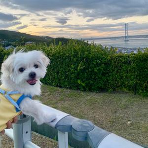 amy艾米在日本 头像