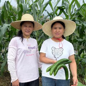 农村妯娌生活 头像