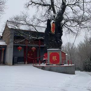 山西强军战哥 头像