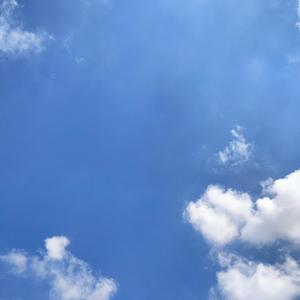 风轻云淡天马行空 头像