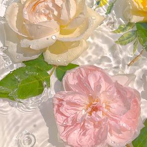 朝气蓬勃的小艺说 头像